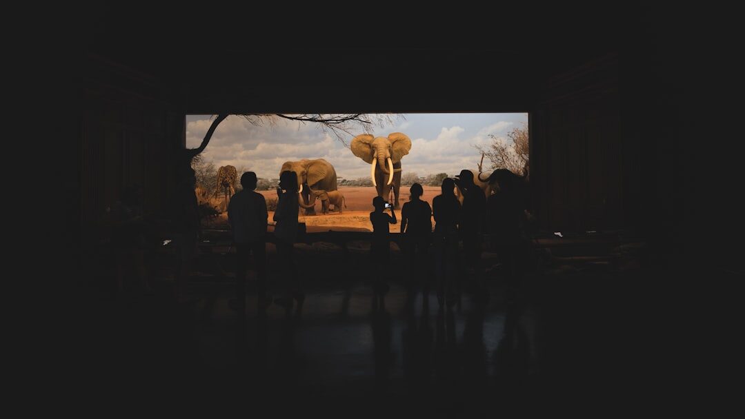 cinematic film premiere scene