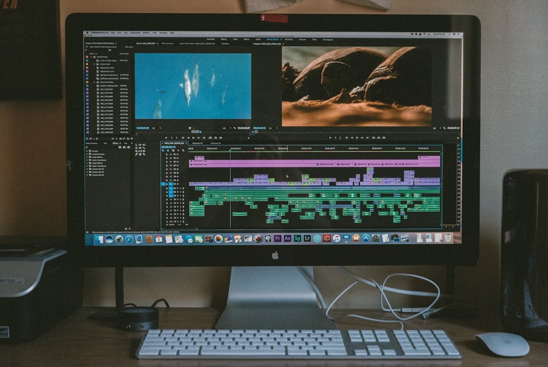 professional video editor