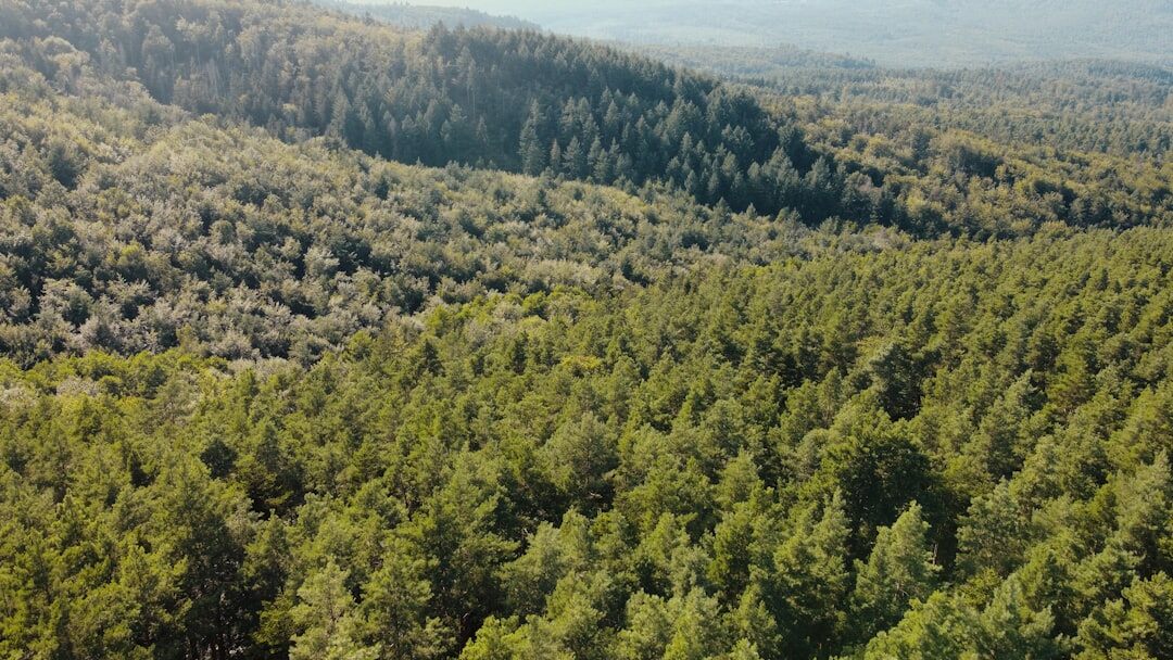 drone flying over mountains
